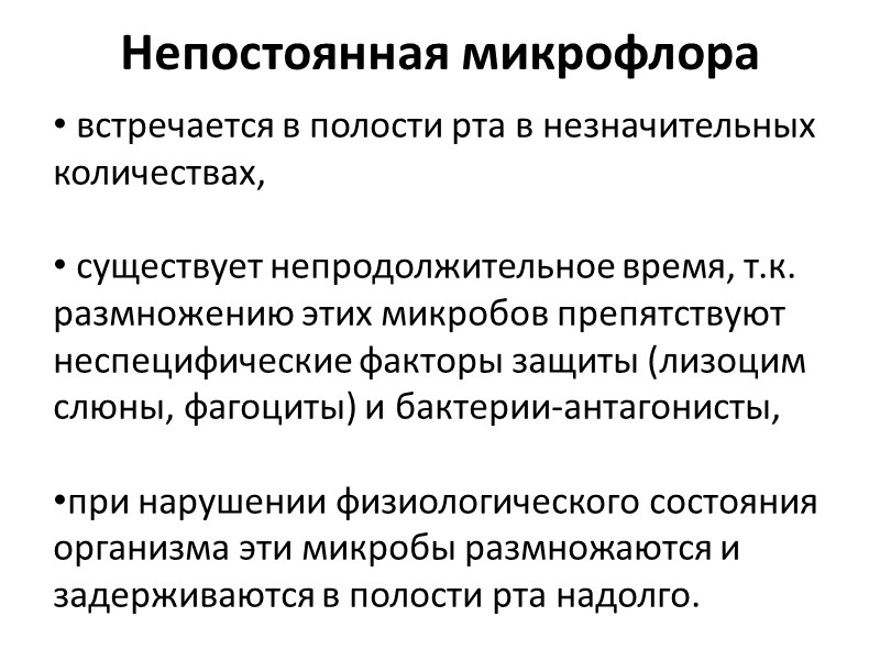 Непостоянная микрофлора     встречается в полости рта в незначительных количествах, 